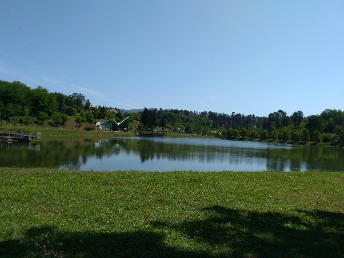 Guest House Lake Side Cchaltubo Exteriér fotografie